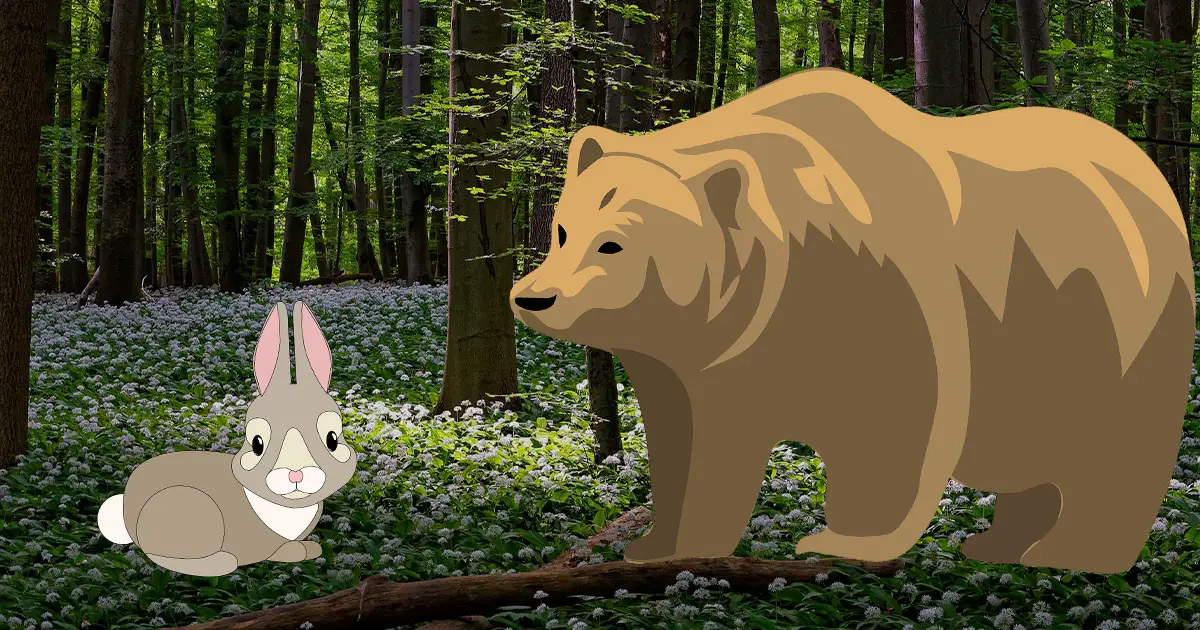 Bilde til vitsen om bjørnen i skogen